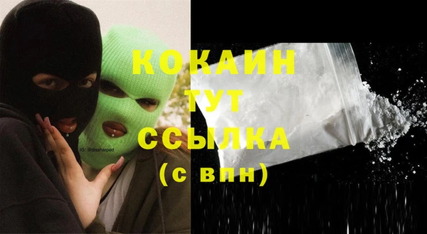 ALPHA-PVP Няндома