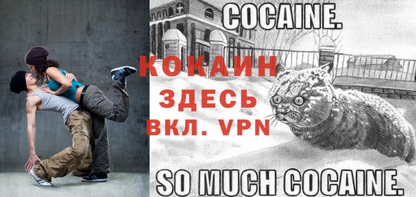 ПСИЛОЦИБИНОВЫЕ ГРИБЫ Новозыбков