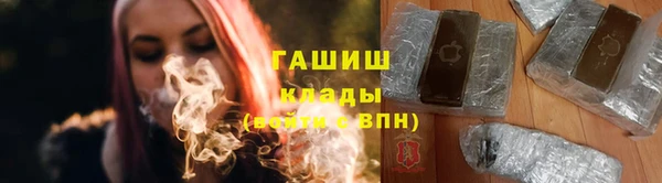 ПСИЛОЦИБИНОВЫЕ ГРИБЫ Новозыбков