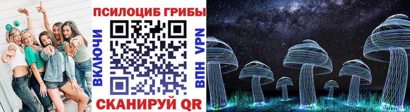 Купить  Кола  Галлюциногенные грибы Psilocybe 