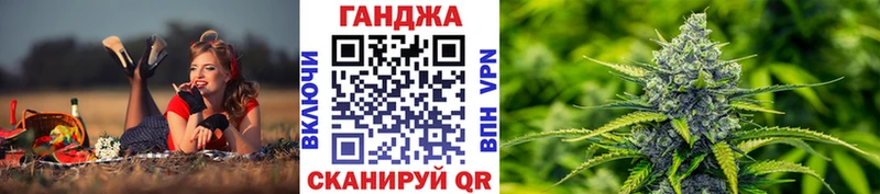 Конопля Bruce Banner  Купить  Кола 